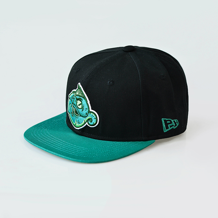 Two Tone Snapback Cap