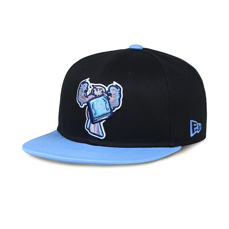 Two Tone Snapback Cap